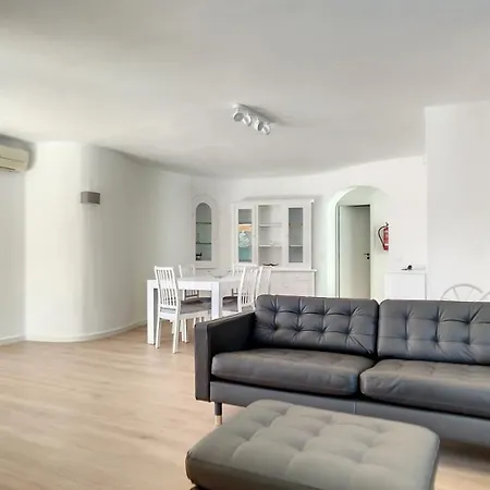 Palmeira Gale * 阿尔布费拉