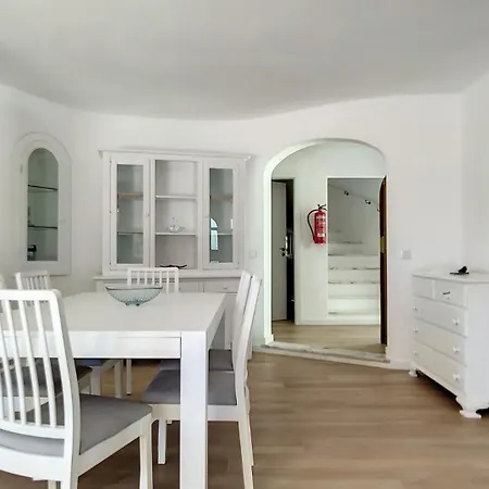 Palmeira Gale