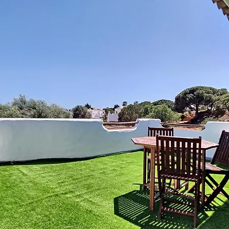 Palmeira Gale 阿尔布费拉